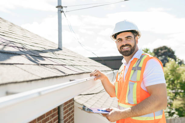 Best Roof Moss and Algae Removal  in St Vincent College, PA