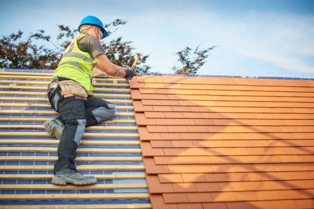 Best Metal Roofing Installation  in St Vincent College, PA